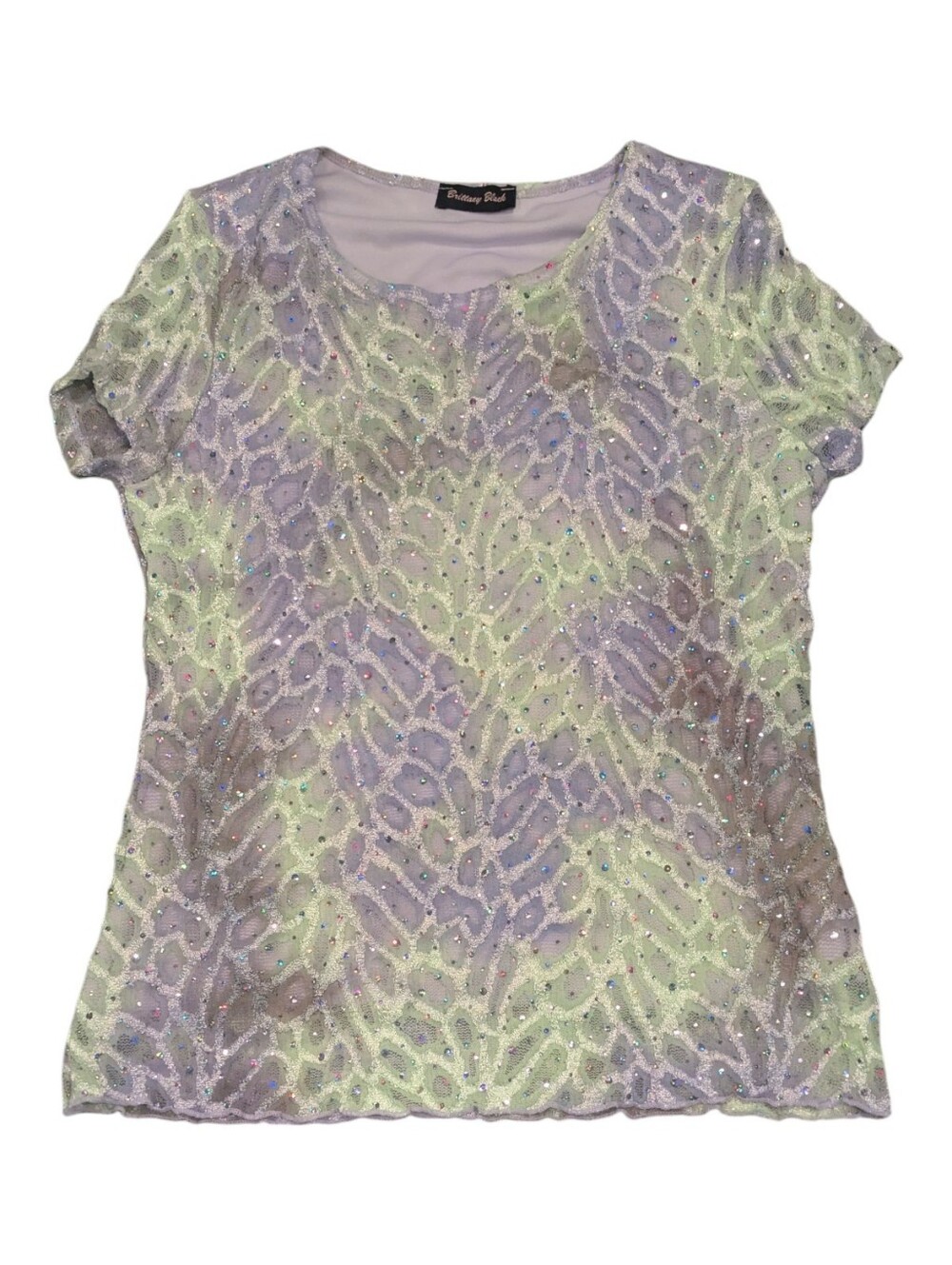 Brittany Black Fairycore Y2K Short Sleeve Purple Green Sequin Burnout Mesh Top -